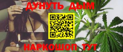 спайс Кингисепп
