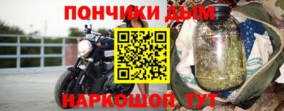 спайс Кингисепп