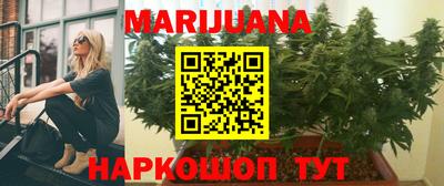 спайс Кингисепп