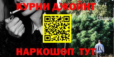 спайс Кингисепп