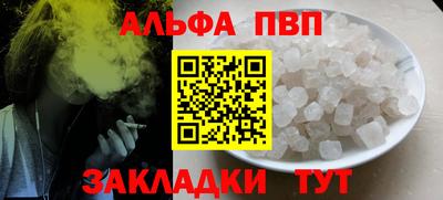 спайс Кингисепп