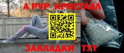 спайс Кингисепп