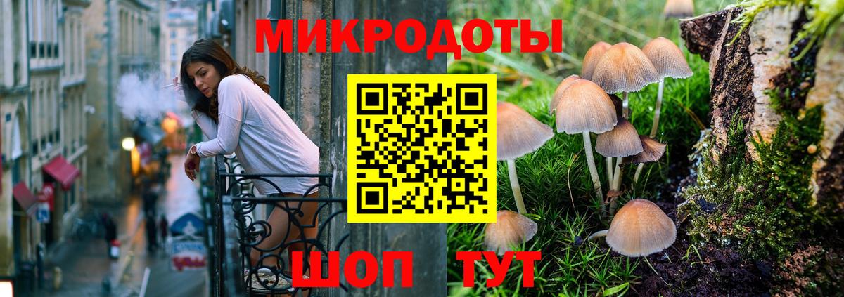 Псилоцибиновые грибы Cubensis  Вход с VPN  Аксай 